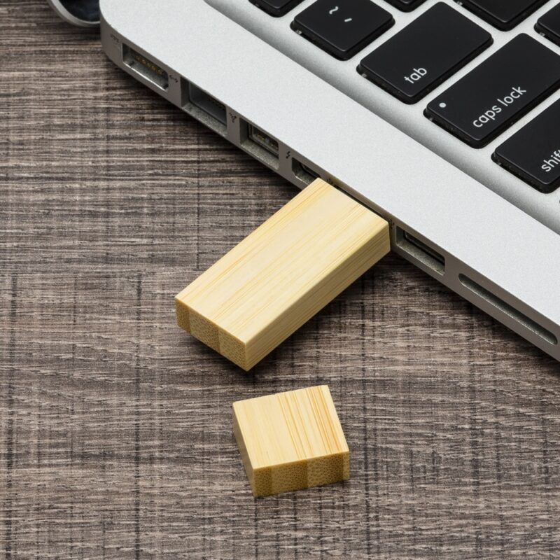 Pen-Drive-4GB-Bambu-BAMBU-4138d1-1480676104.jpg